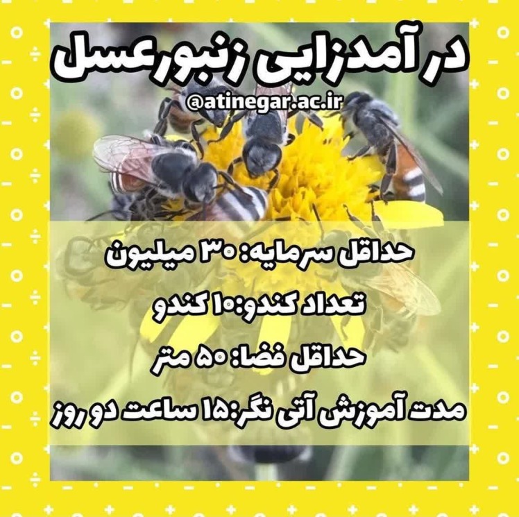 دوره آموزشی پرورش زنبور عسل