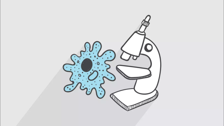 دوره بافت شناسی