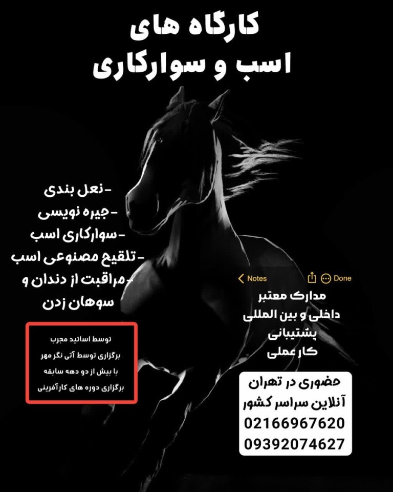 کارگاه های اسب و سوارکاری