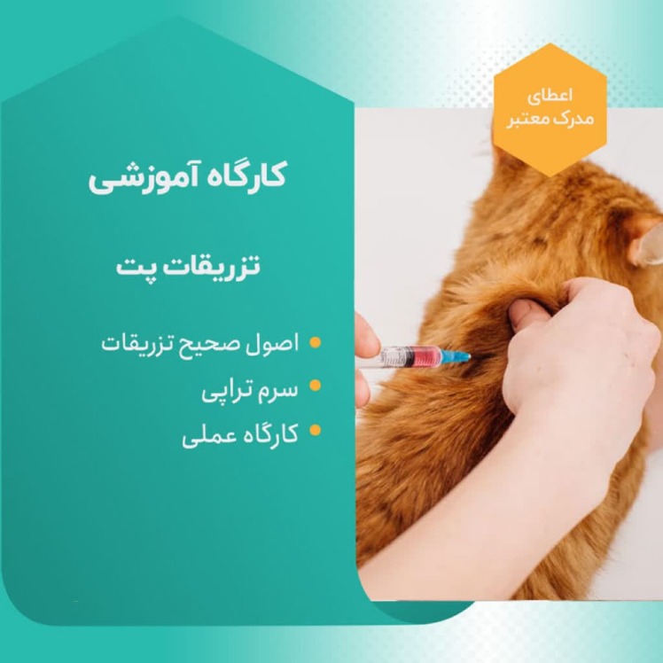  دوره آموزشی تزریقات پت
