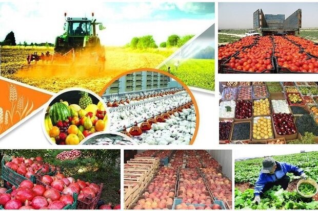 دوره تجاری سازی محصولات کشاورزی برندینگ وبسته بندی