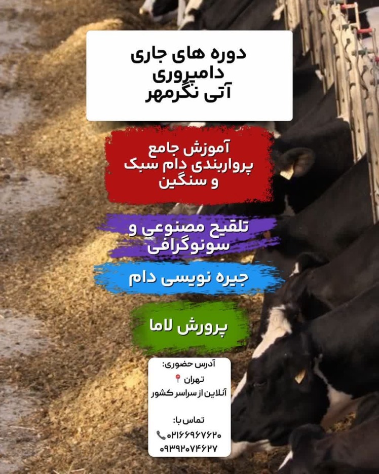 دوره های جاری دامپروری اتی نگر