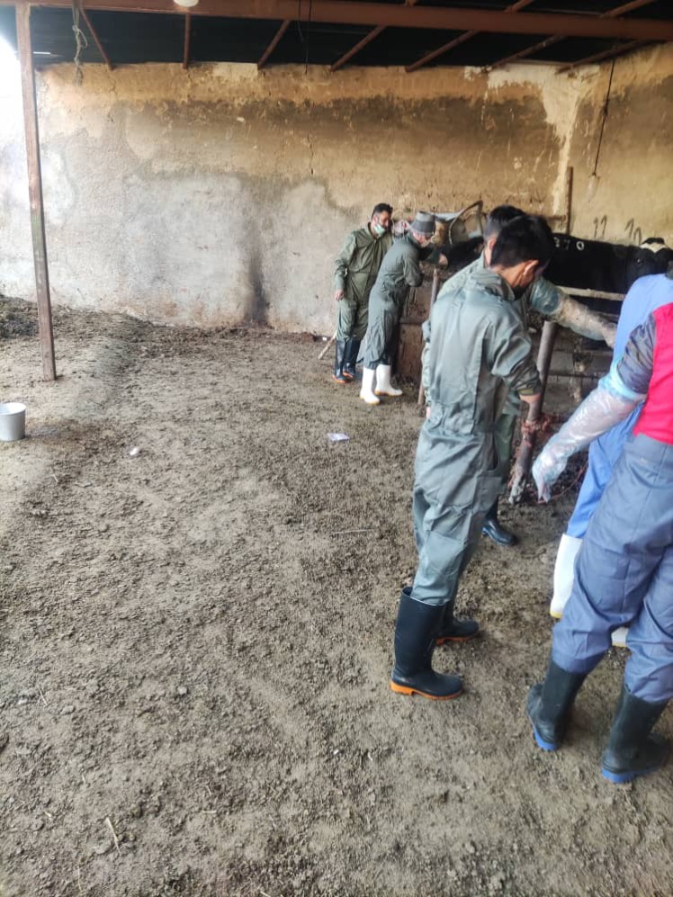 برگزاری آزمون تلقیح مصنوعی گاو رشته های مرتبط