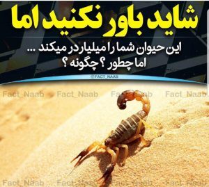 آموزش پرورش و زهرگیری عقرب