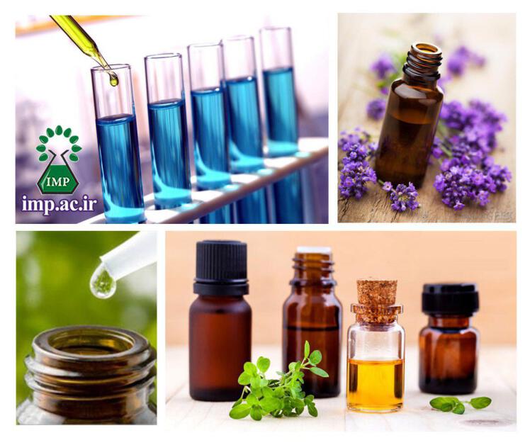 صنعت گیاهان دارویی فرصت عالی سرمایه گذاری و اشتغال