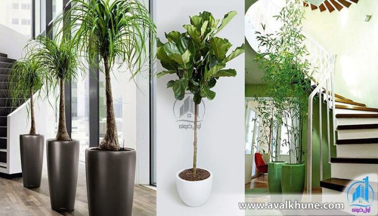 تکمیل ظرفیت دوره های علوفه، زنبور و گیاهان آپارتمانی