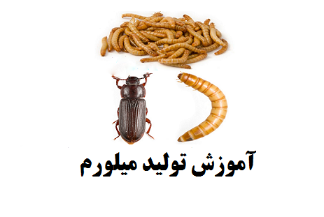 پرورش کرم میلورم
