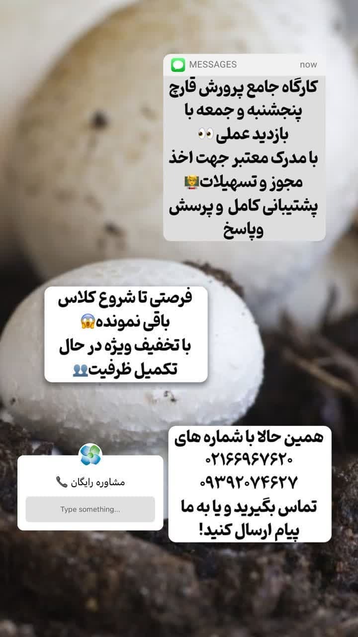 اموزش پرورش قارچ